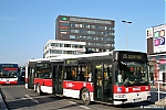 Citybus-1778.jpg