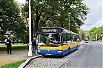 Citybus_36.jpg