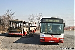 Citybus_6532~0.jpg