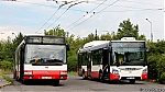 Citybus_703~0.jpg